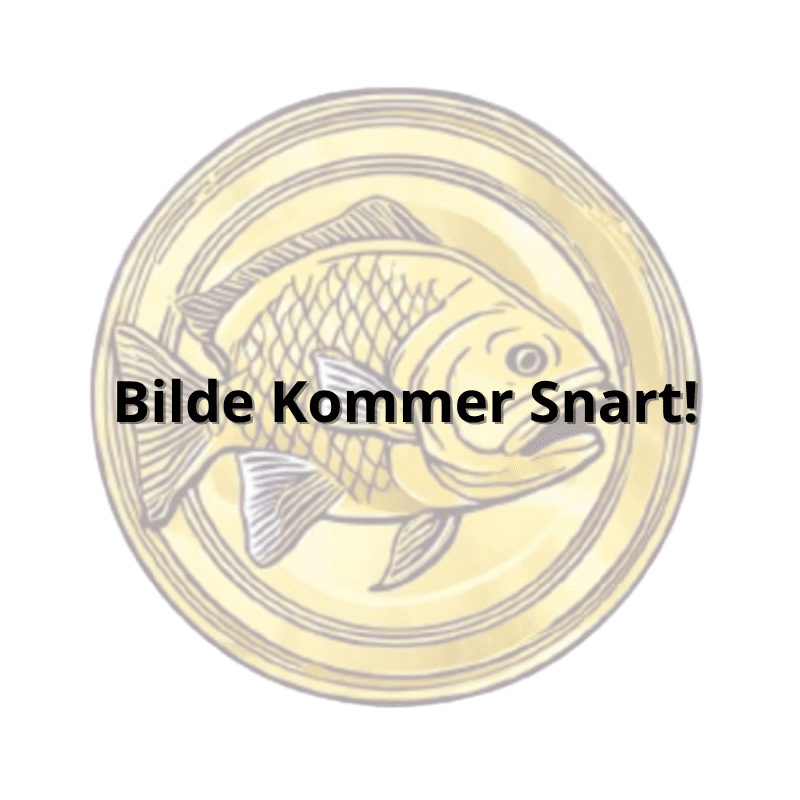 20 kroner 1874 – 1875